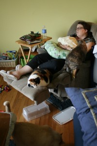 Sarah and critters Sarah has a baby and some cats.